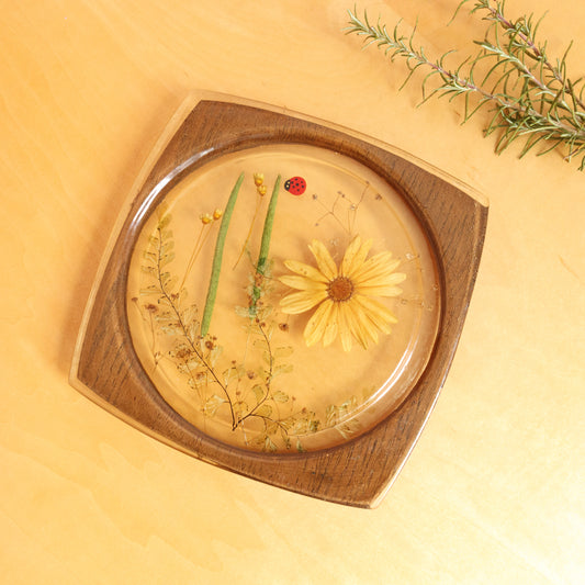 Vintage 1970s Acrylic and wood trivet with pressed wildflowers and a painted ladybug inside